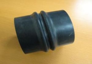 AF120155